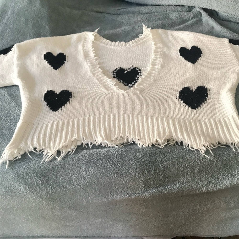 Wildfox sweater in pristine condition.